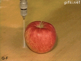 apple cut GIF