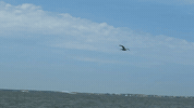 See Ya Goodbye GIF by Jennifer Greenhill