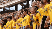 Football Celebrate GIF by Baylor University