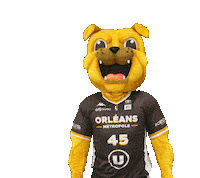 Bulldog Chien Sticker by OLB