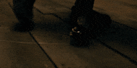 Anne Hathaway Hunter Schafer GIF by A24