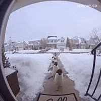 Mood Feels GIF by Darwin