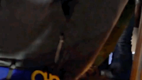 young thug check GIF