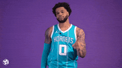 Basketball No GIF by Charlotte Hornets