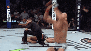 Mixed Martial Arts Fighting GIF by UFC