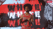 Chicago Bulls Authentic Fan GIF by NBC Sports Chicago
