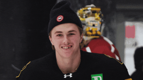 Hockey Smile GIF by Brantford Bulldogs