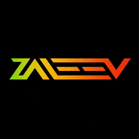 Zaleevteam zft GIF
