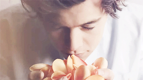 one direction 1d GIF