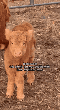 Jay Ok GIF by America's Outdoor Adventure Park