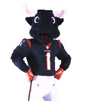 Great Job Yes Sticker by Houston Texans