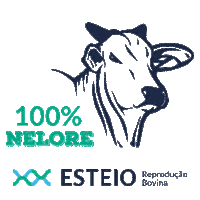 esteioreproducaobovina boi qualidade vem angus Sticker