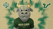 College Sports Muscle GIF by College Colors Day