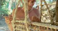 survivor tribe GIF by CBS