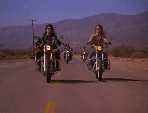 viperorange giphygifmaker movie zombies chopper chicks in zombietown GIF