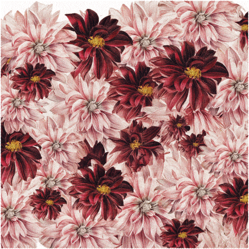 Mind Kind GIF by HSBC India