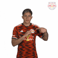 Red Bulls Football GIF by New York Red Bulls