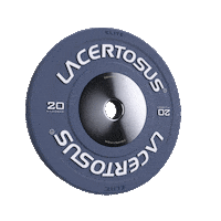Lacertosus fitness gym training disco Sticker