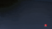 Come And Get Me Bayer 04 GIF by Bundesliga