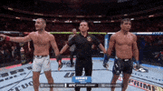 Mixed Martial Arts Sport GIF by UFC