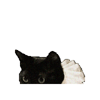 Cat Hello Sticker
