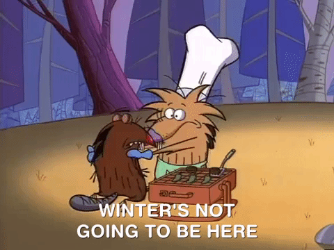 nickrewind giphydvr nicksplat angry beavers giphyab005 GIF