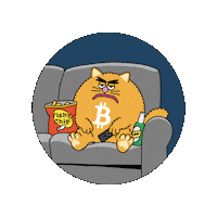 Bitcoin Meme Sticker by herecomesbitcoin