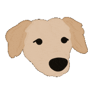 Golden Retriever Dog Sticker by Ann of Facedit