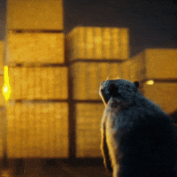 YellaWood gold diy wood treasure GIF