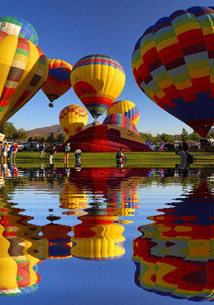reflection GIF