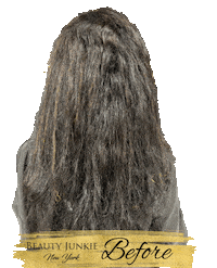 BeautyJunkieNY hair hair style hair stylist straight hair Sticker