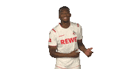Happy Dance Sticker by Bundesliga