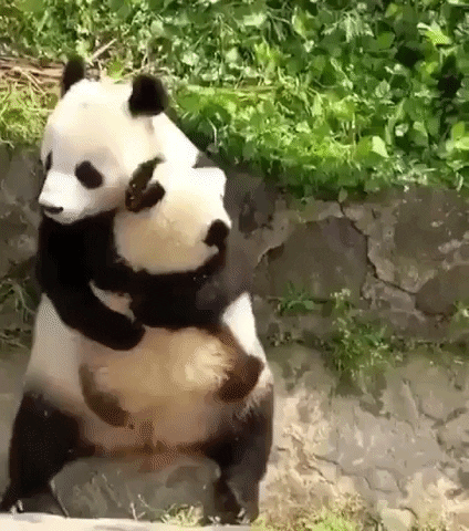 johnnyfranklind2bd giphyupload GIF