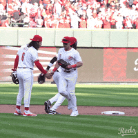 Sport Baseball GIF by Cincinnati Reds