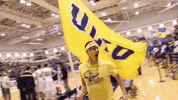 UCSanDiego ucsd uc san diego tritons triton pride GIF