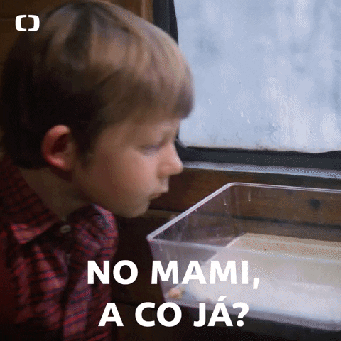 Ja No GIF