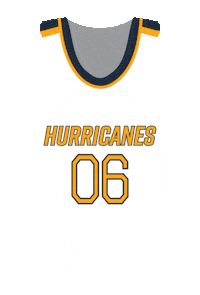Basketball Men Sticker by Georgia Southwestern State University