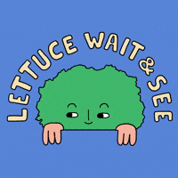 Lettuce wait