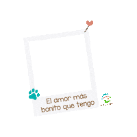 Petilandia love amor animal pet Sticker