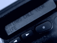 betcha by golly wow prince GIF