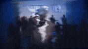 music video GIF by LunchMoney Lewis 