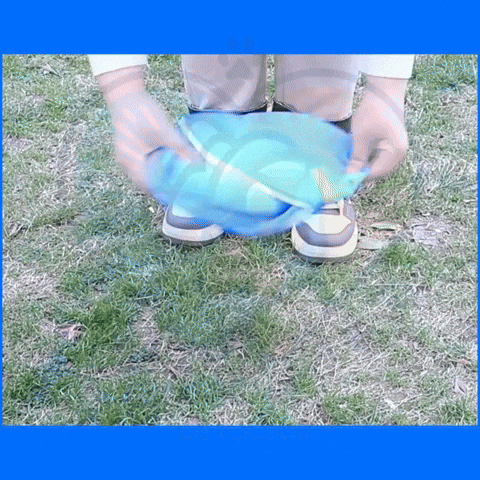 GIF parc chien SafePlay