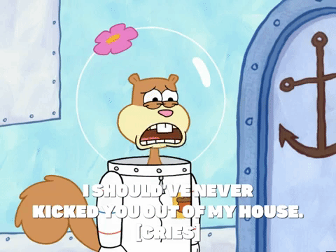 season 5 GIF by SpongeBob SquarePants