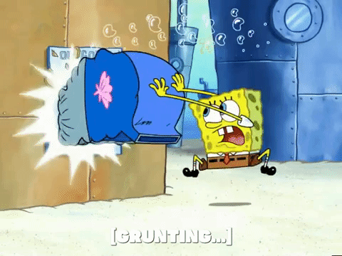 season 4 GIF by SpongeBob SquarePants