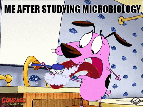 Nazertazer giphygifmaker giphyattribution seneca senecalearning GIF