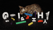 Animation Cat GIF by Originals
