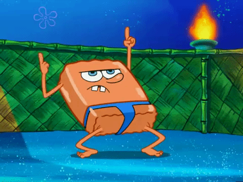 season 6 GIF by SpongeBob SquarePants