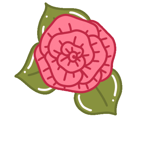 elziekeiko giphyupload pink flower rose Sticker