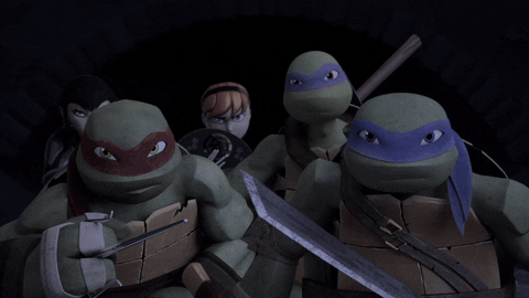 ninja turtles what GIF by Teenage Mutant Ninja Turtles