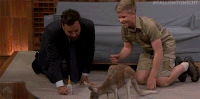 jimmy fallon kangaroo GIF by The Tonight Show Starring Jimmy Fallon